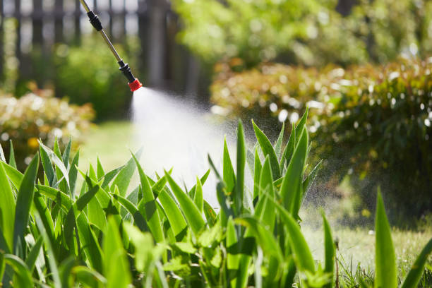 Tamper-Resistant Bait Stations for Rodents in Oceanside