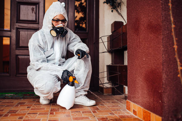 Attic and Crawl Space Rodent Treatment in Oceanside